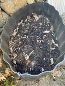 今年は畑仕事を精力的に